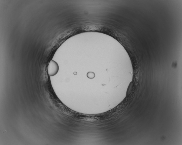 X0000115690743200912241501
