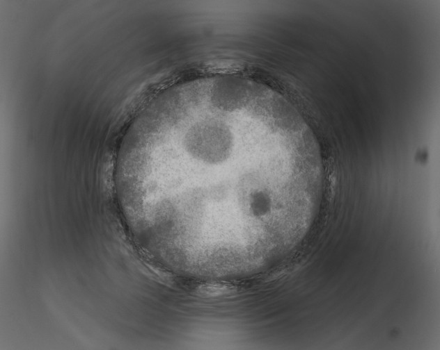 X0000115690745200912241501