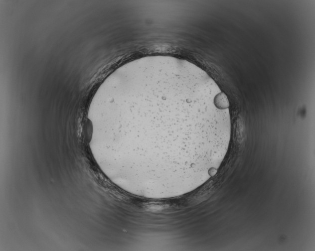 X0000115690746200912241501