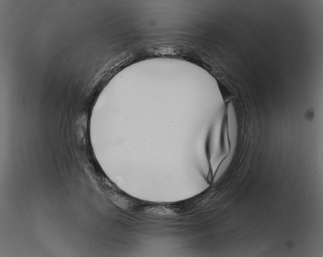 X0000115690747200912241501