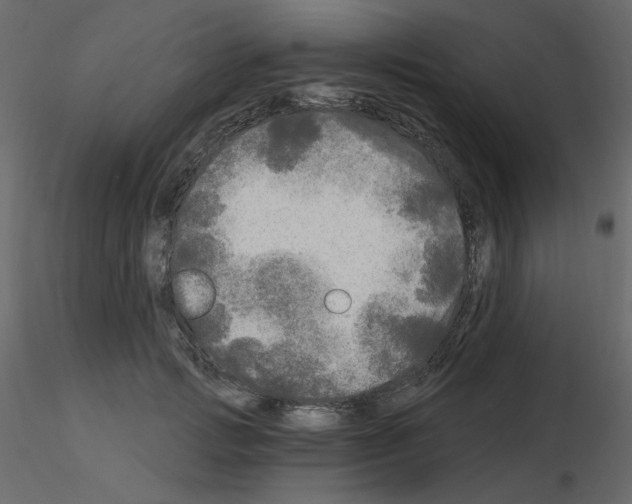 X0000115690749200912241501