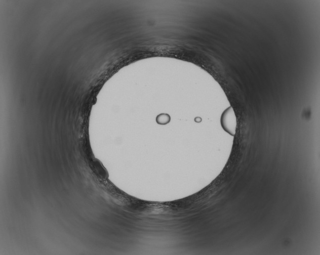 X0000115690750200912241501