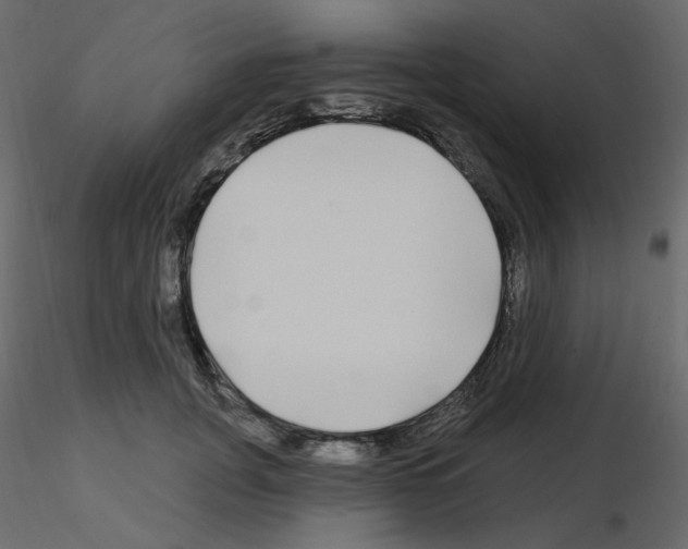 X0000115690751200912241501