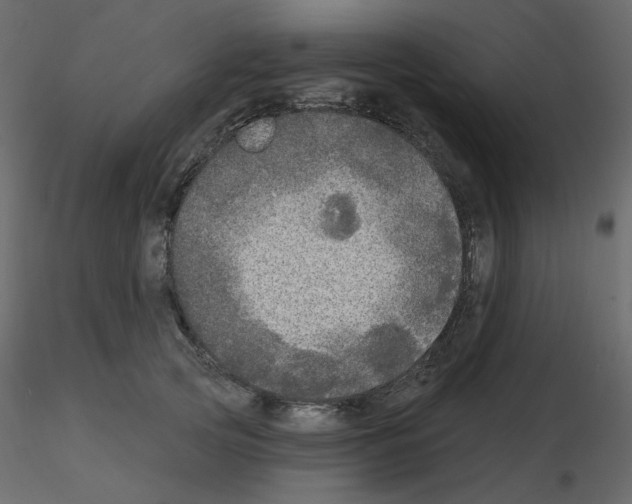 X0000115690753200912241501