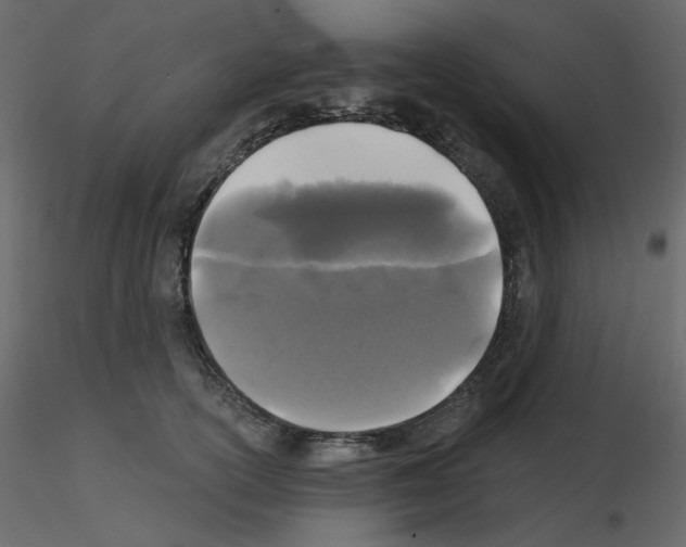 X0000115690754200912241501