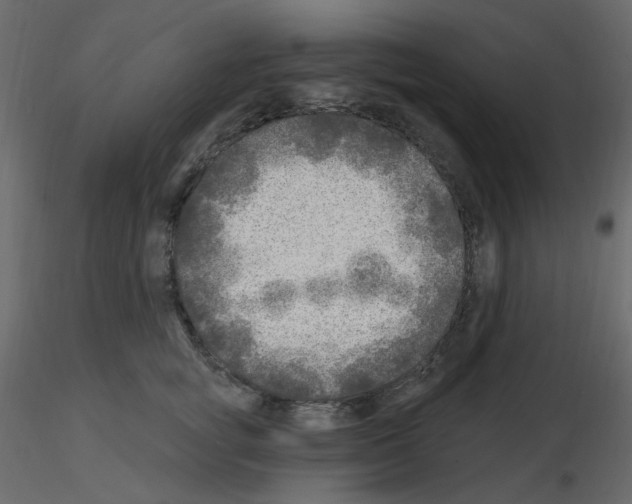 X0000115690757200912241501