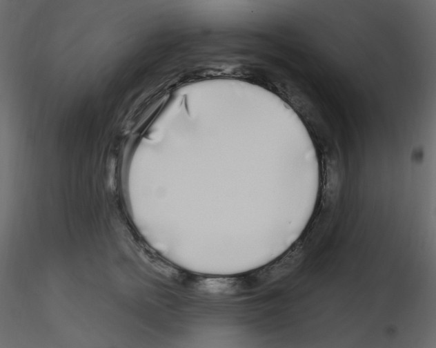 X0000115690758200912241501