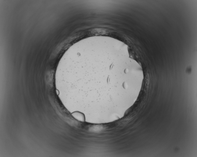 X0000115690759200912241501