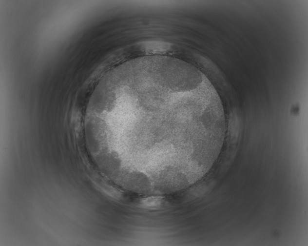 X0000115690761200912241501