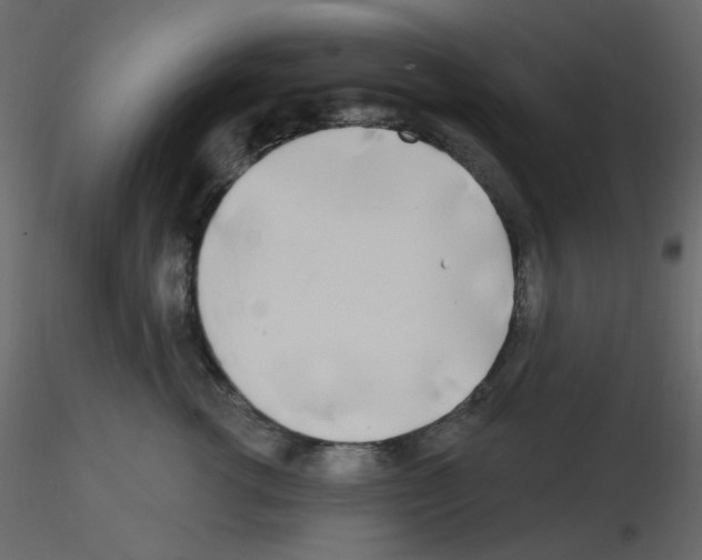 X0000115690762200912241501