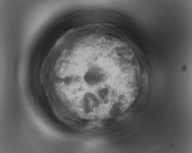 X0000115690765200912241502