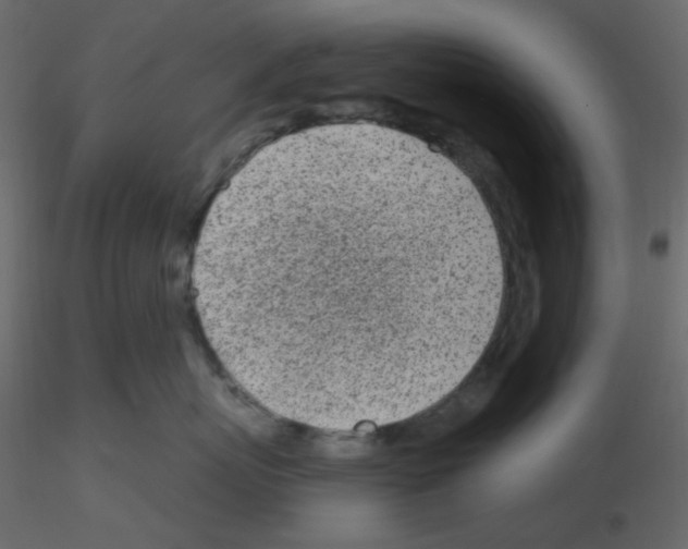X0000115690767200912241502