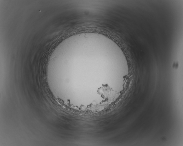 X0000115690769200912241501