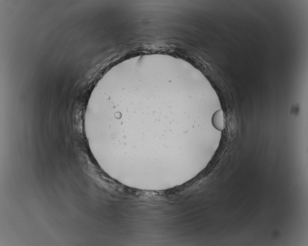 X0000115690770200912241501