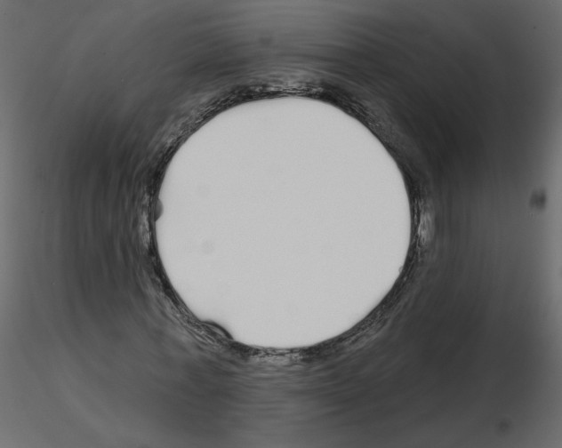 X0000115690771200912241501