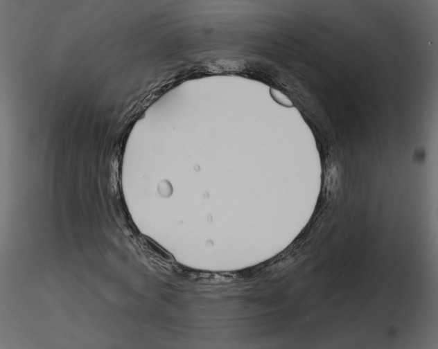 X0000115690772200912241501