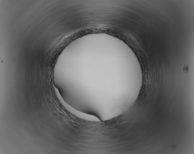 X0000115690773200912241501