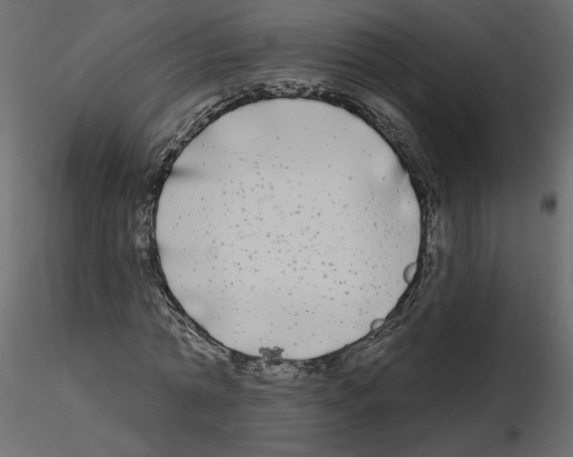 X0000115690774200912241501