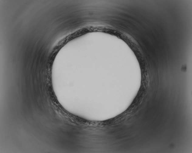 X0000115690775200912241501