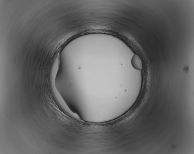 X0000115690777200912241501