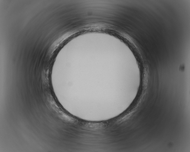 X0000115690778200912241501