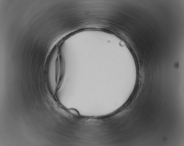 X0000115690779200912241501