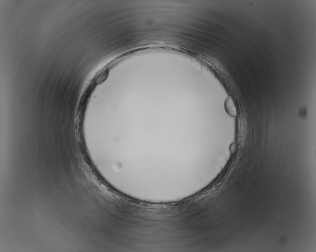 X0000115690780200912241501