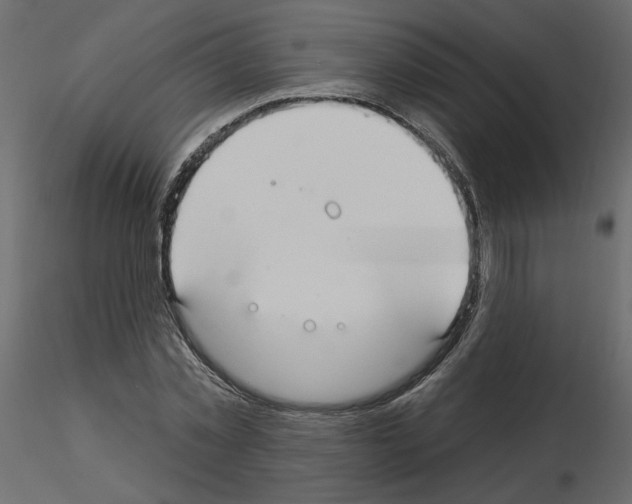 X0000115690781200912241501