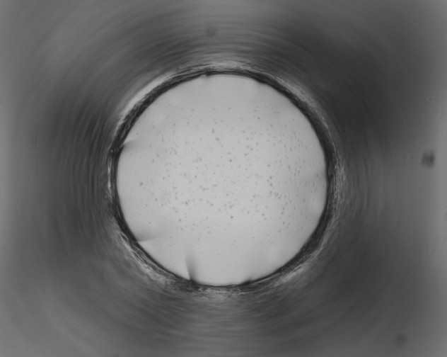 X0000115690782200912241501