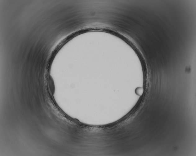 X0000115690783200912241501