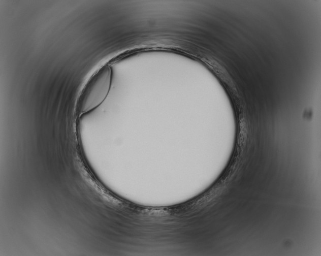 X0000115690784200912241501