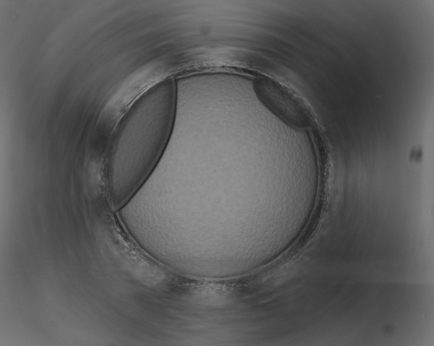 X0000115690785200912241501