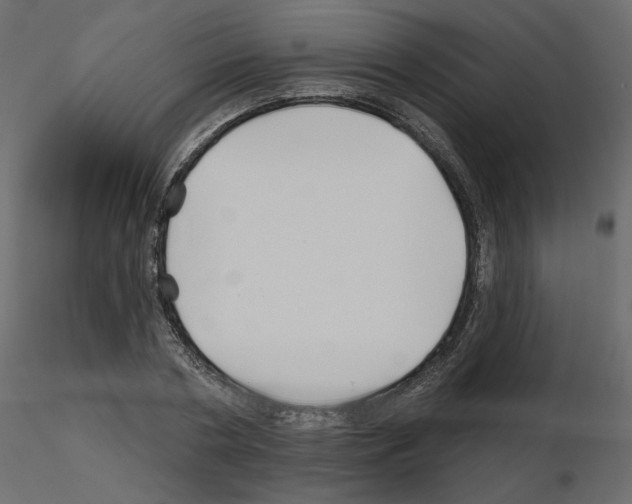 X0000115690786200912241501