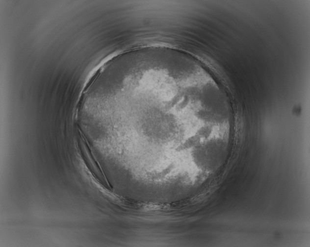 X0000115690790200912241501