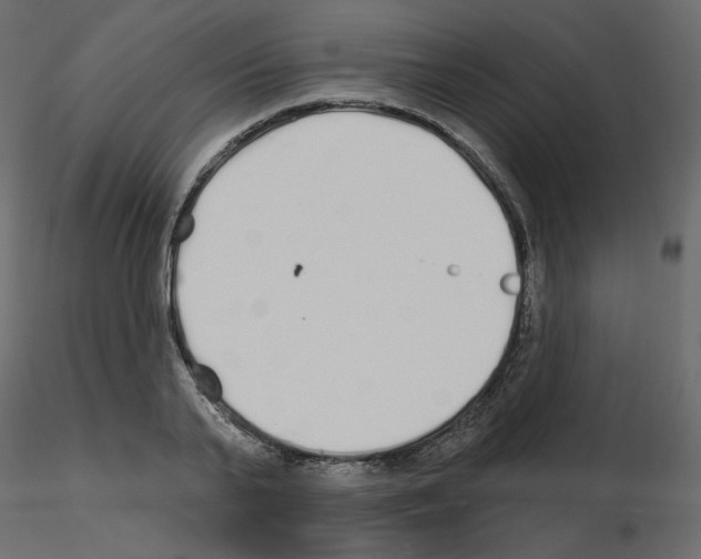 X0000115690791200912241501