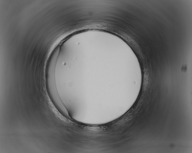 X0000115690792200912241501