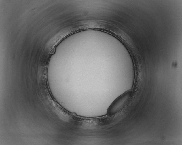 X0000115690793200912241501