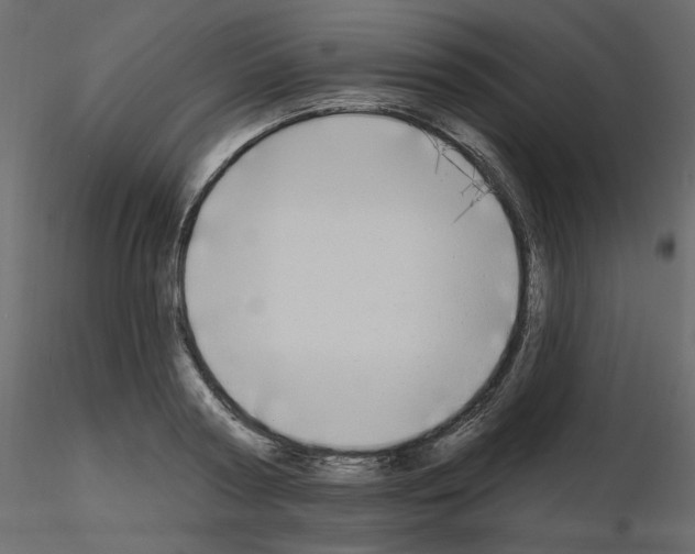 X0000115690794200912241501