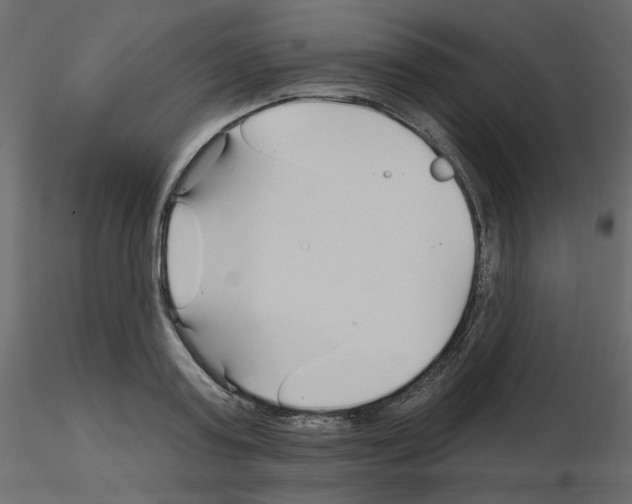 X0000115690795200912241501