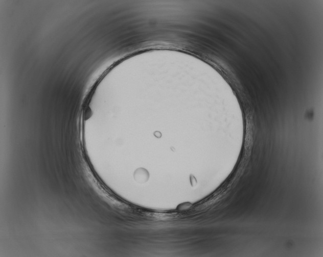 X0000115690796200912241501