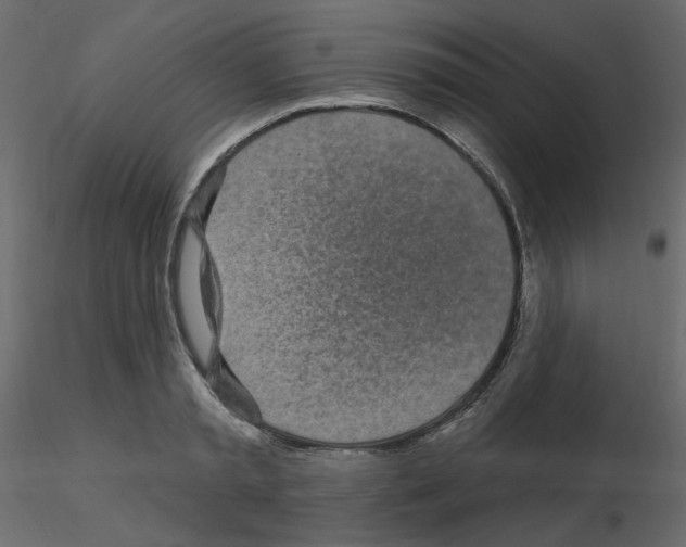 X0000115690797200912241501