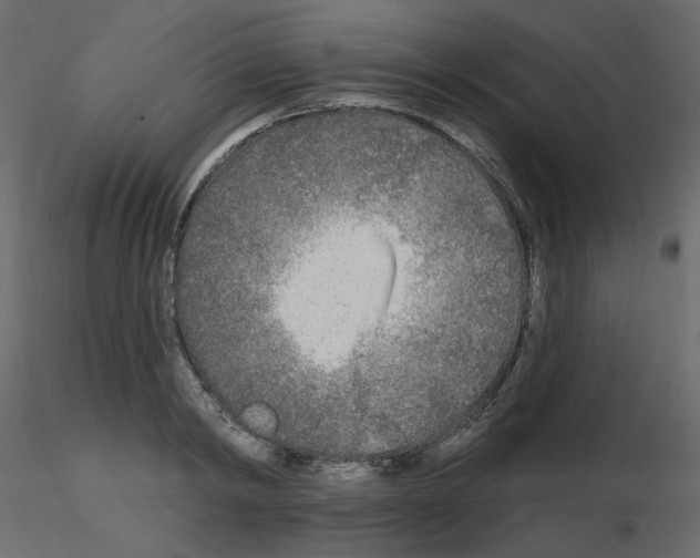 X0000115690798200912241500
