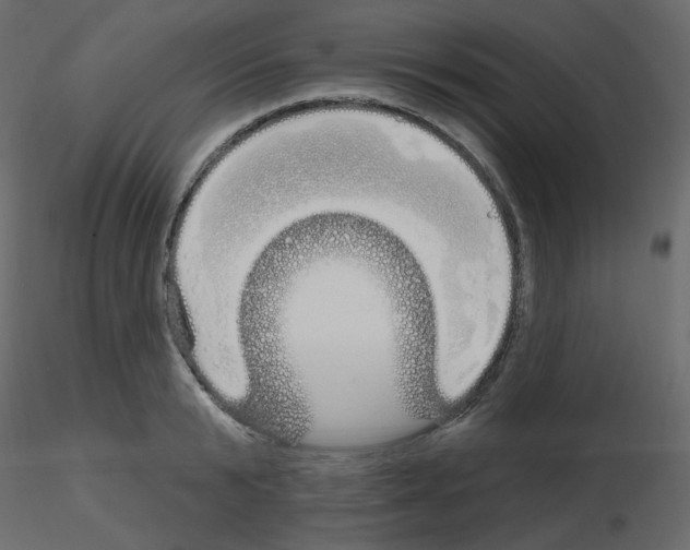 X0000115690799200912241500