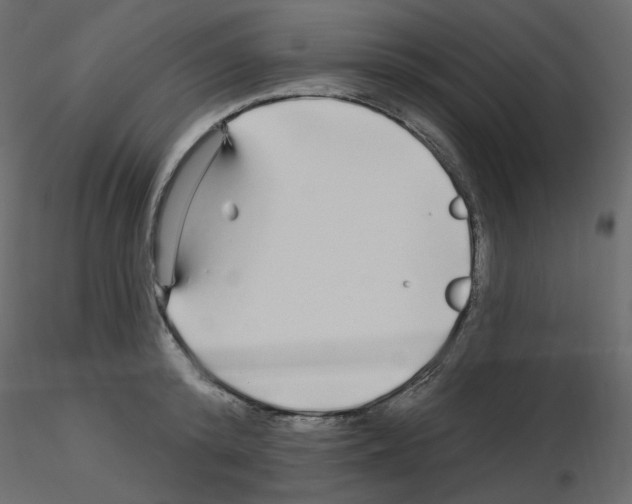 X0000115690800200912241500
