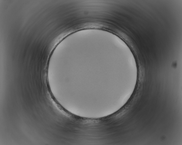X0000115690802200912241500