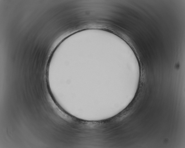 X0000115690803200912241500