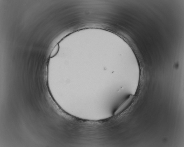 X0000115690804200912241500