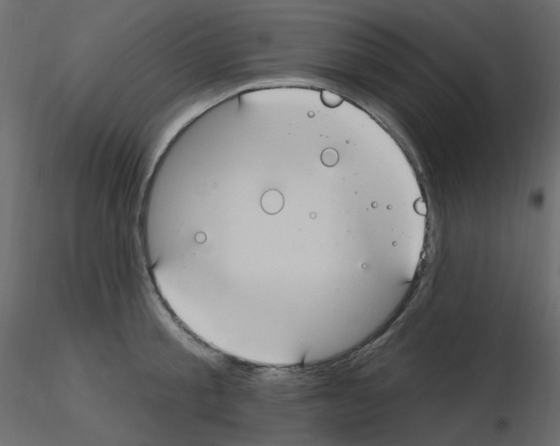 X0000115690805200912241500