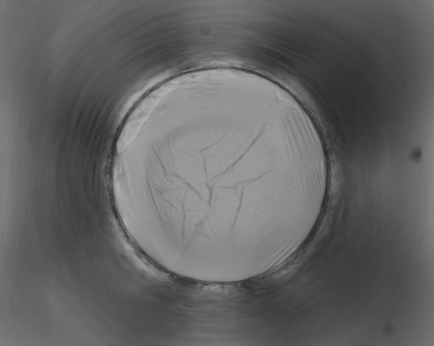 X0000115690806200912241500