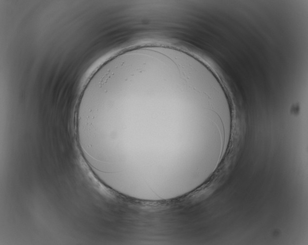 X0000115690807200912241500